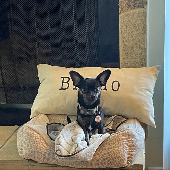 Meet your Posher, Hannah - Picture 1 of 1